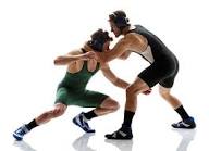 Wrestling1